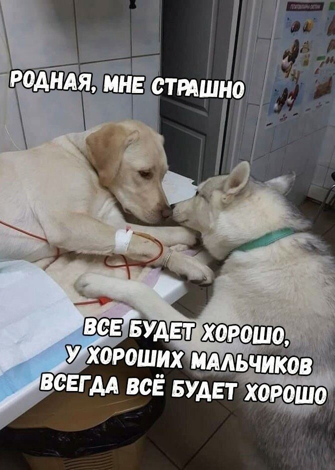    - 3  2024  20:42