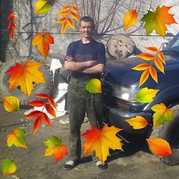 ����, �����������, 54 ����