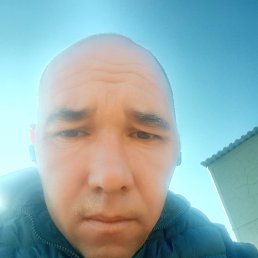 , 33, 