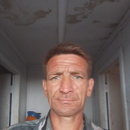 , 41 , 