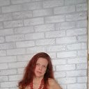  , , 48  -  17  2024   2019 