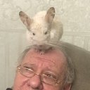 ���� ��������, ������ - ��������� 28 ������� 2025 � ������ ���� ����������