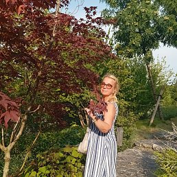 ��������, �������, 56 ���