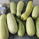 ���� Svetlanna, ������������ - ��������� 14 �������� 2024 � ������ ���� ����������