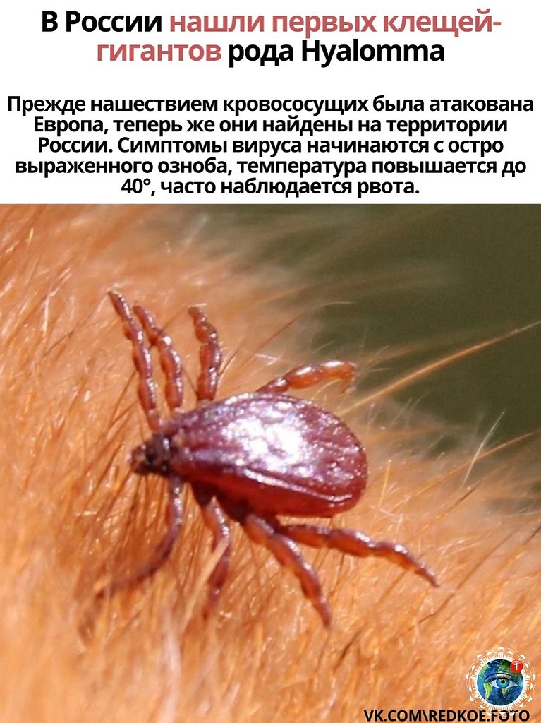 ����p� ����o ���� ��� ����a�������