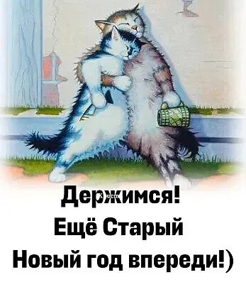  - 4  2024  11:48