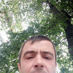 , 39 , 