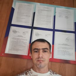 , 29, 