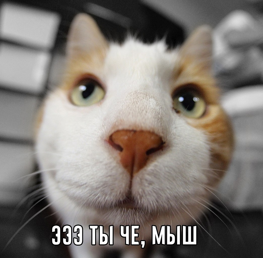  - 10  2025  09:40 - 2