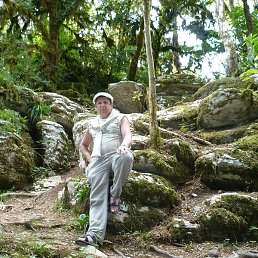 �������, �����������, 62 ����