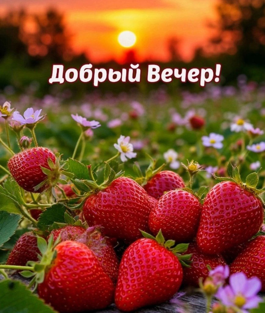   ,    . - 20  2025  16:50