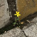 ���� ����, �����-���������, 22 ���� - ��������� 17 ����� 2024