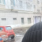 ������, 38 ���, ���������