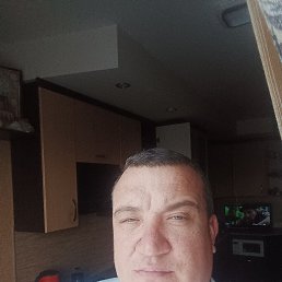 ����, 44 ����, ���������