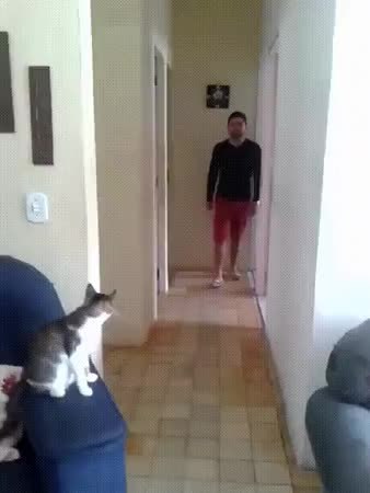 GIF Preview