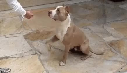 GIF Preview