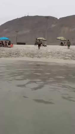 GIF Preview