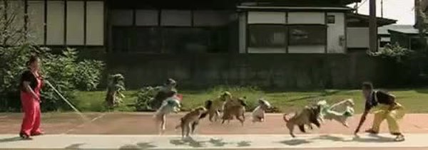 GIF Preview