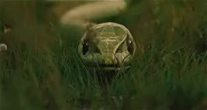 GIF Preview