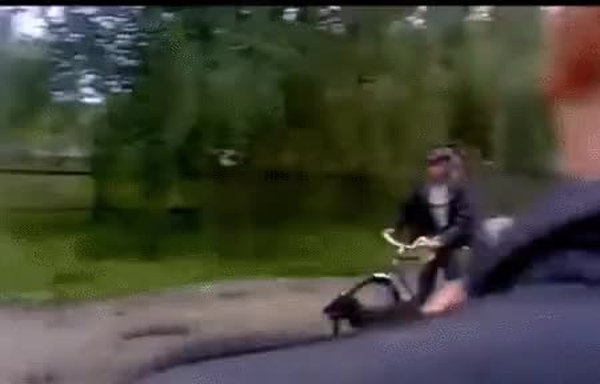 GIF Preview