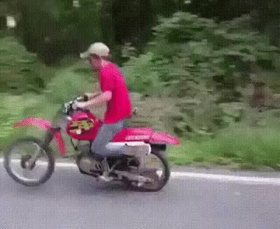 GIF Preview