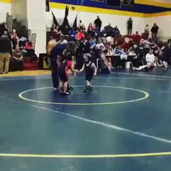 GIF Preview