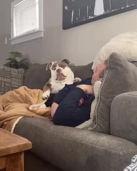 GIF Preview