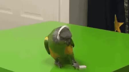 GIF Preview