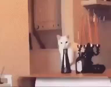 GIF Preview