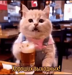 GIF Preview