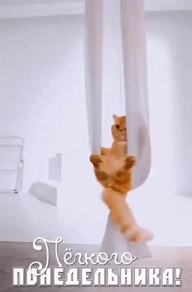 GIF Preview