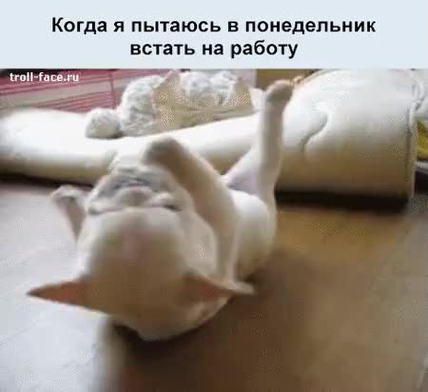 Гифка Понедельник На Работу