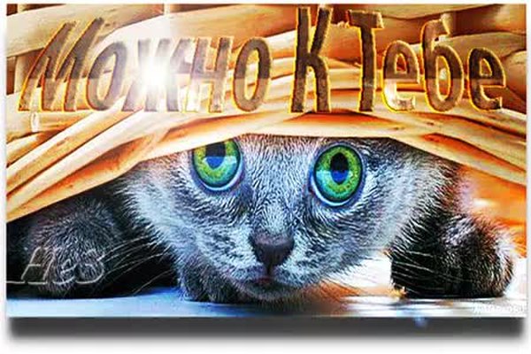 А к вам можно. Открытка можно к вам в гости. Можно в гости картинки. Можно к вам в гости картинки. Открытка к вам можно?.