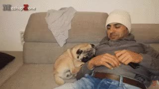GIF Preview