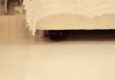 GIF Preview