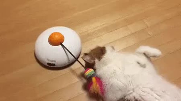 GIF Preview
