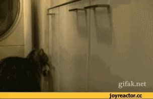 GIF Preview