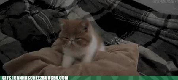 GIF Preview