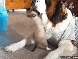 GIF Preview
