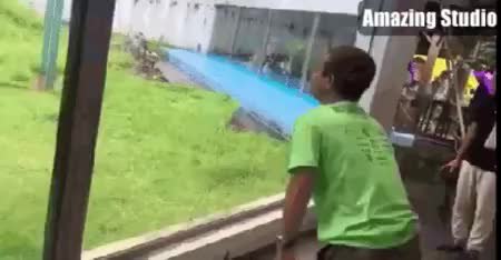 GIF Preview
