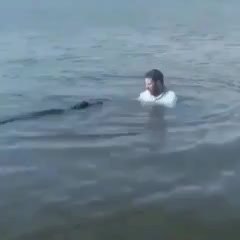 GIF Preview