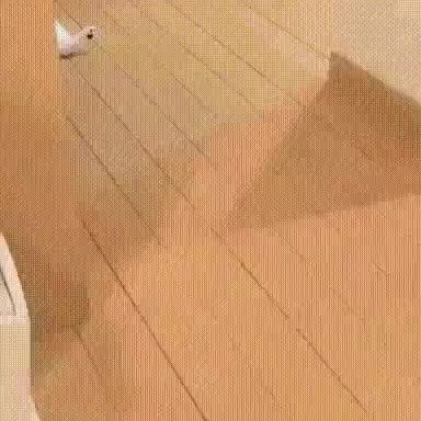 GIF Preview