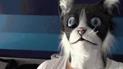 GIF Preview