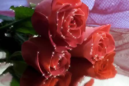 GIF Preview