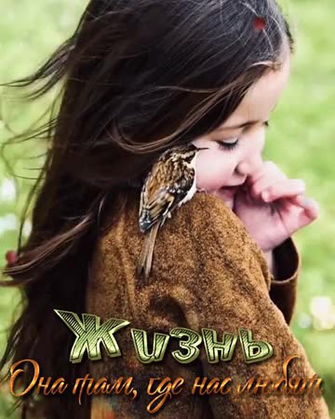 GIF Preview