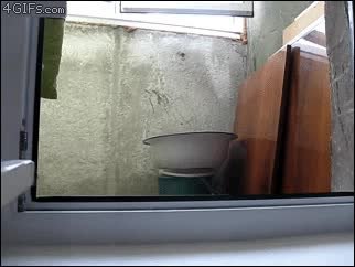 GIF Preview