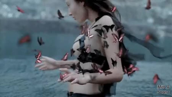 GIF Preview