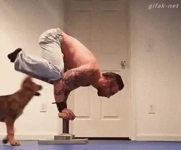 GIF Preview