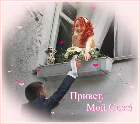 Привет мой свет картинки красивые, летием