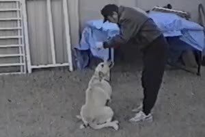 GIF Preview